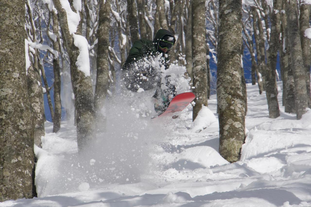 Monkey Rider Hotel Hakuba Kültér fotó